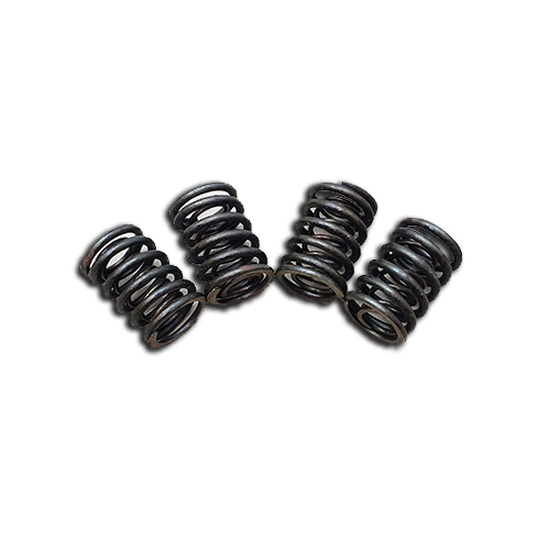Valve Springs
