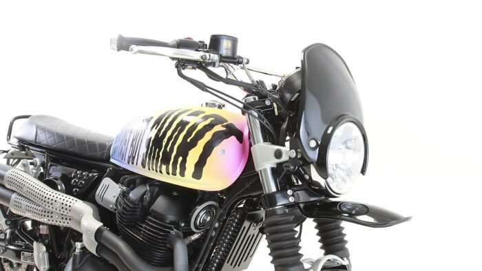 Hedgehog Rally S Screen, Black - INT/GT 650 - Image 2